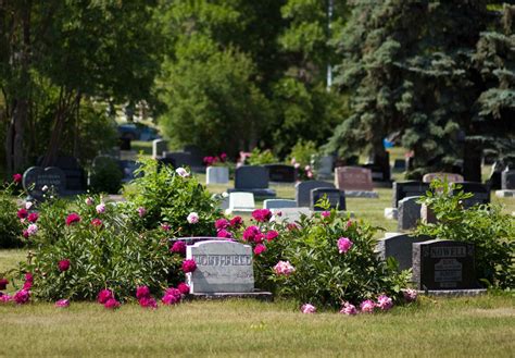 calgary cemetery records|City of Calgary Cemeteries.